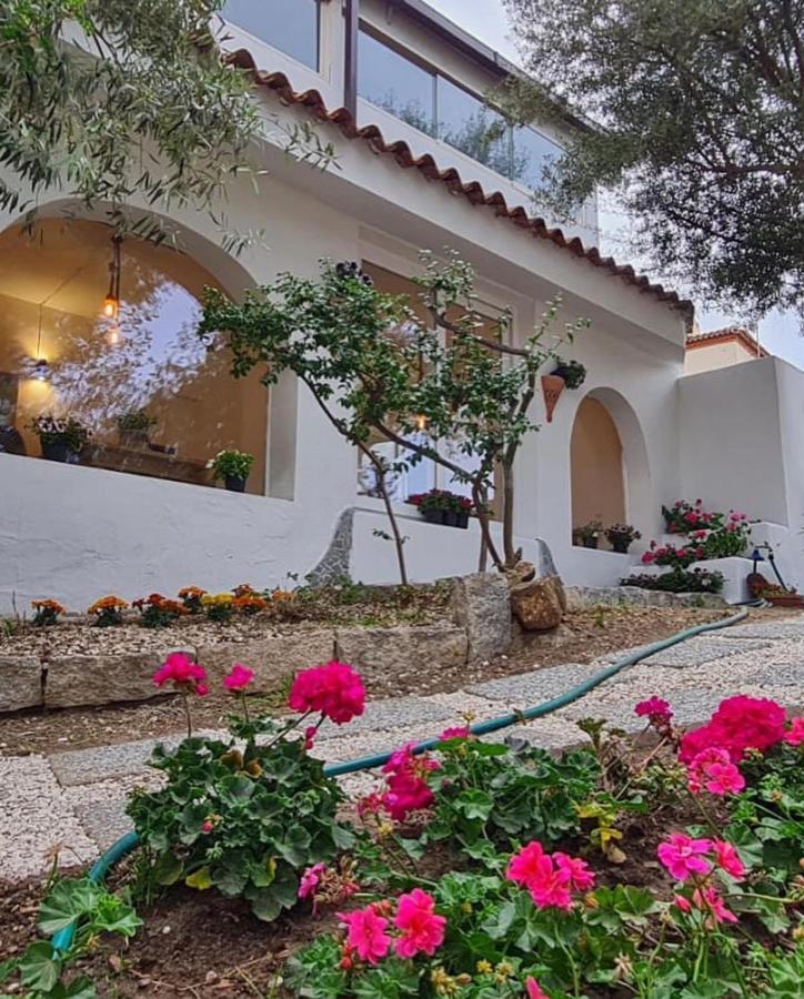 Il Salice B&B Olbia Exterior foto